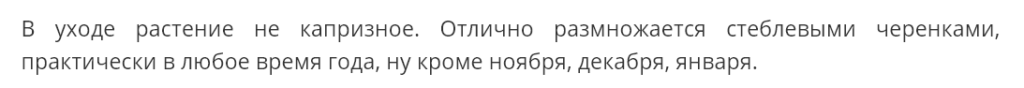 Аукуба японская - талисман богатства, процветания, счастья, здоровья и крепкой семьи