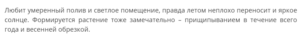 Аукуба японская - талисман богатства, процветания, счастья, здоровья и крепкой семьи