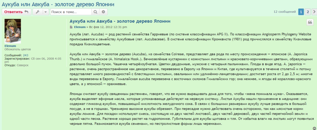 Аукуба японская - талисман богатства, процветания, счастья, здоровья и крепкой семьи