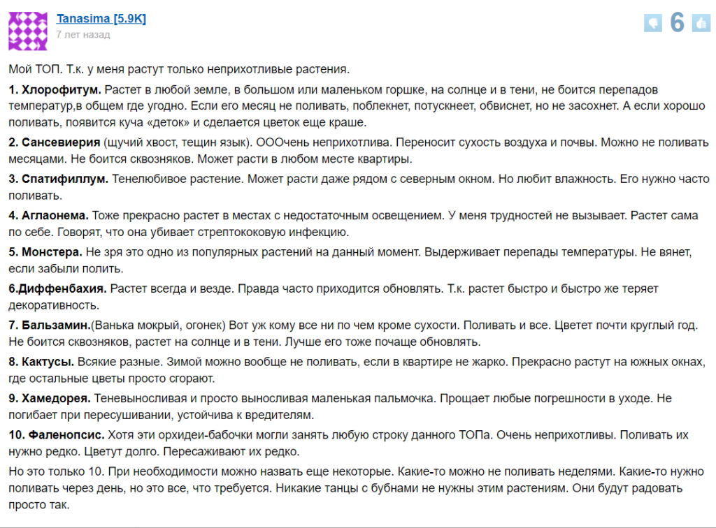 Какие комнатные растения самые неприхотливые. Какие приметы с ними связаны