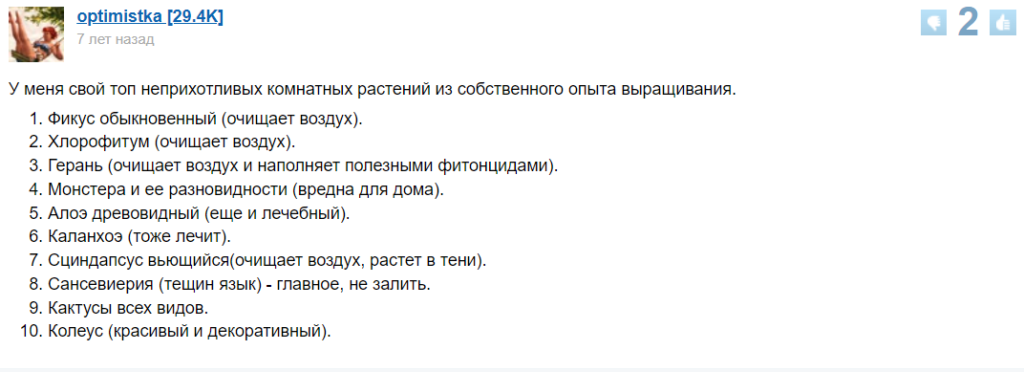 Какие комнатные растения самые неприхотливые. Какие приметы с ними связаны