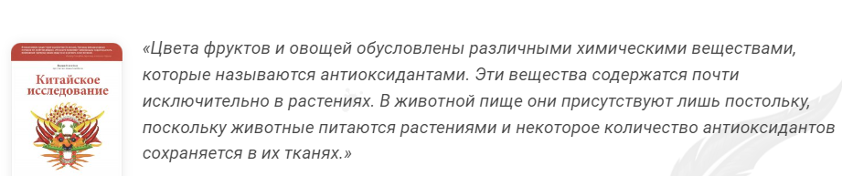 Какие продукты питания богаты антиоксидантами