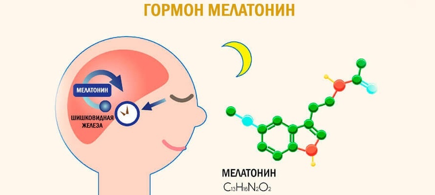 Гормон сна: как он сказывается на здоровье