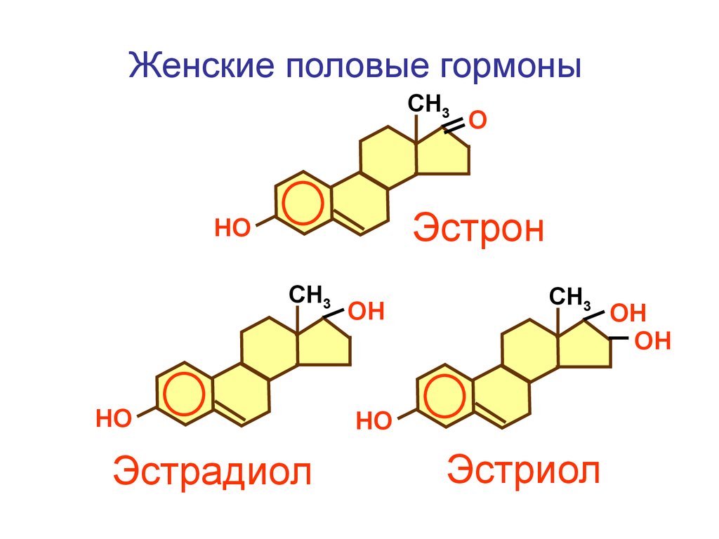 Какие гормоны отвечают за красоту