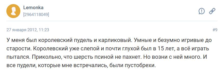 Пудель: особенности породы