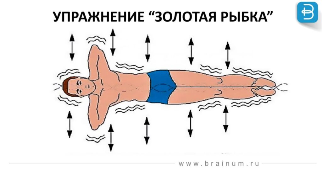 Золотые правила здоровья от Кацудзо Ниши